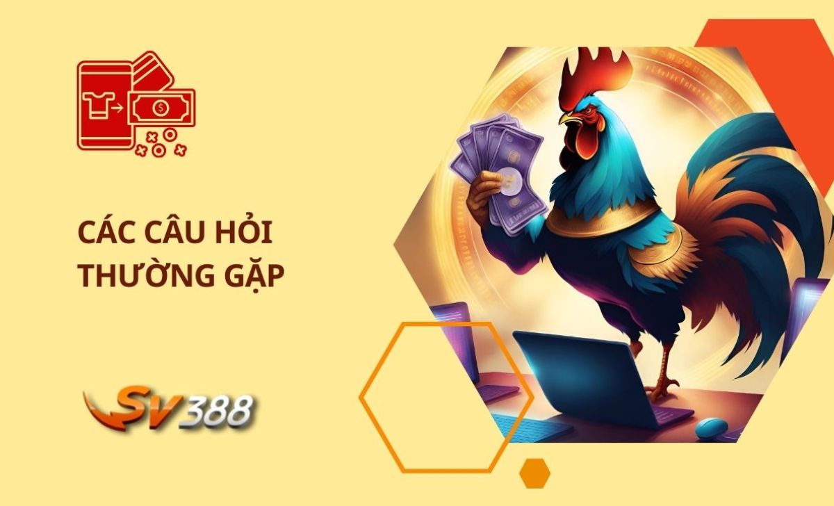 câu hỏi thường gặp 