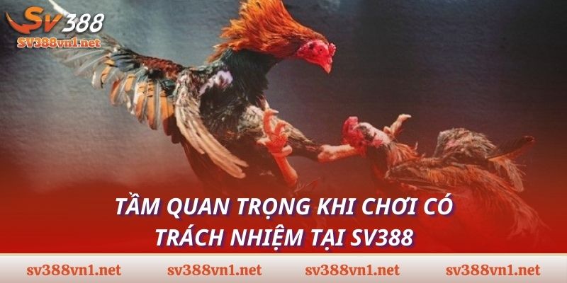 cá cược có trách nhiệm